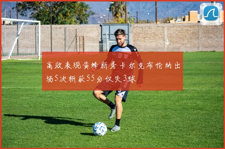 高效表现黄蜂新秀卡尔克布伦纳出场5次斩获55分仅失3球