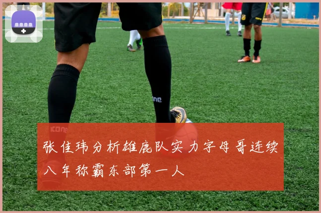 张佳玮分析雄鹿队实力字母哥连续八年称霸东部第一人